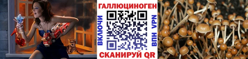 Галлюциногенные грибы MAGIC MUSHROOMS  Купить где  Брянск